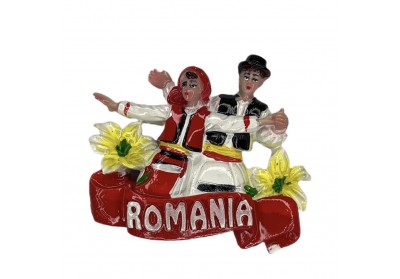 Magnet ceramic dans popular 5 Magnet ceramic dans popular 5